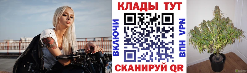 Купить наркоту Торжок СК ГАШ Канабис