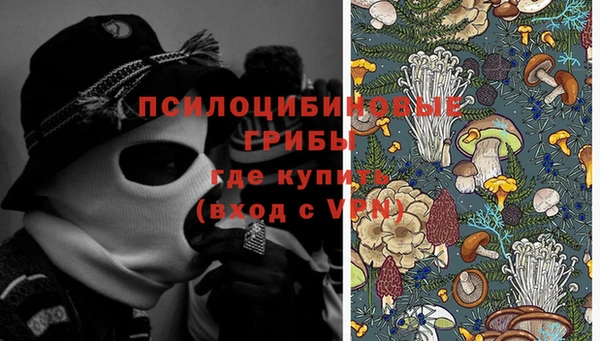 меф Горно-Алтайск