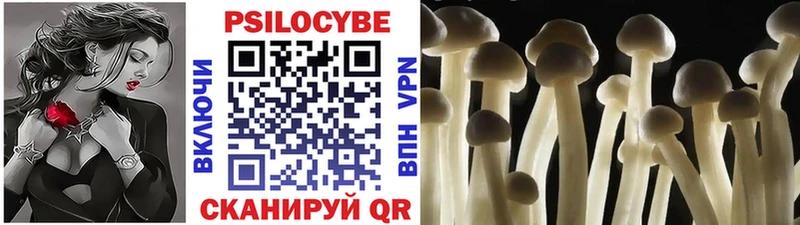 Псилоцибиновые грибы Magic Shrooms  Торжок 