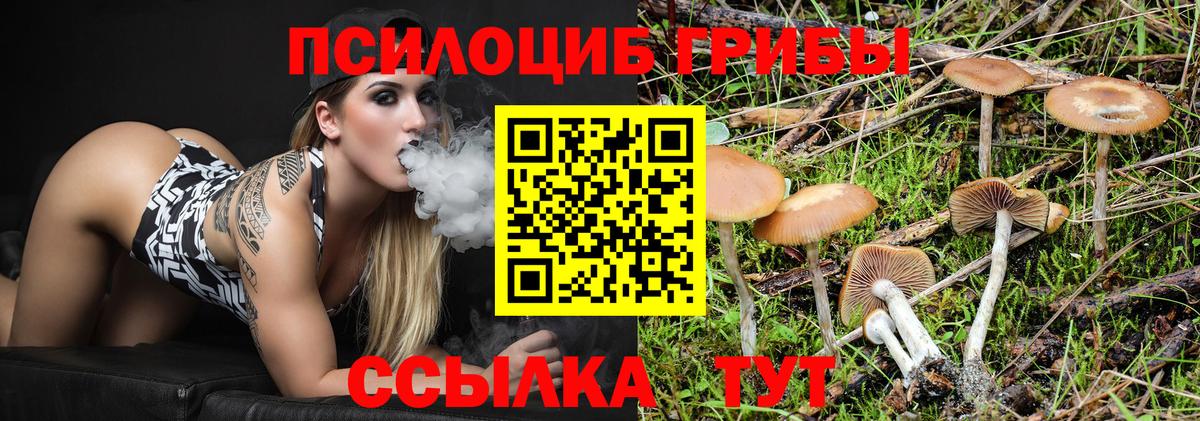 Псилоцибиновые грибы ЛСД Торжок