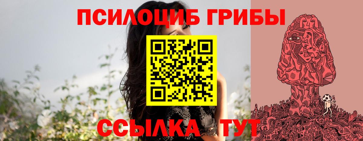 закладки  Псилоцибиновые грибы Psilocybe  Вход с VPN  Торжок  Галлюциногенные грибы Cubensis 